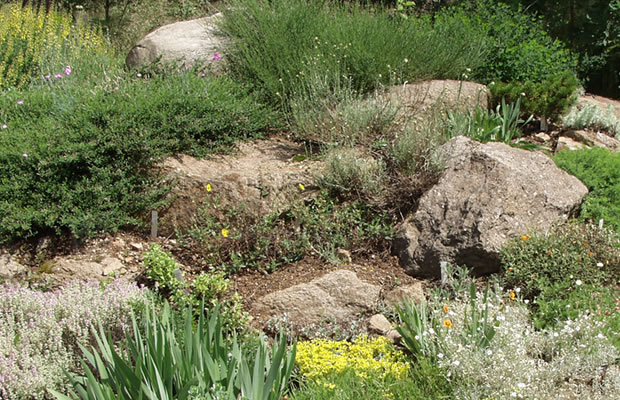 Bild Arktisch-Alpiner-Garten (Chemnitz)