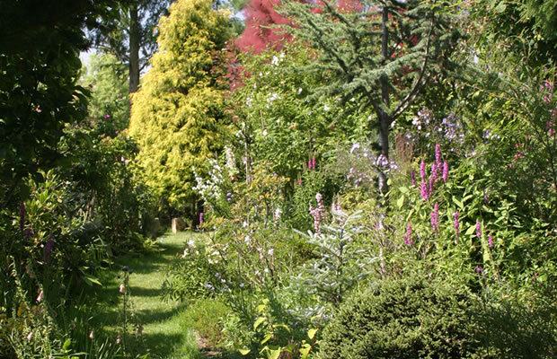 Bild Pfarrgarten Saxdorf (Uebigau-Wahrenbrück)