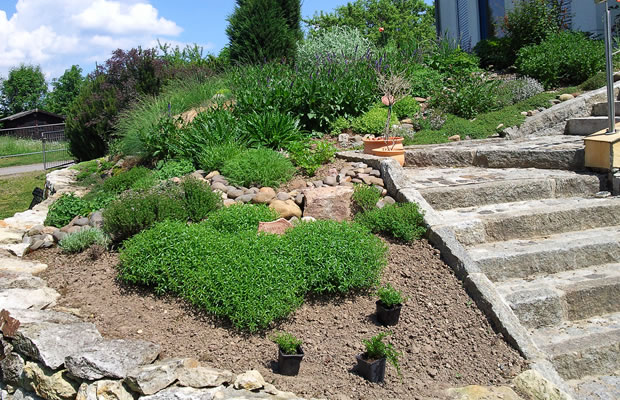 Bild Gartengestaltung in Dresden und Sachsen